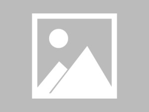 围绕红桃视频的关键体验点清单：详细说明