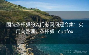 围绕茶杯狐的入门必问问题合集：实用向整理，茶杯狐 - cupfox