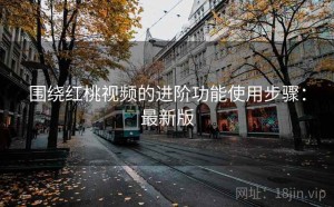 围绕红桃视频的进阶功能使用步骤：最新版