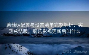 蘑菇tv配置与设置清单完整解析：实测总结版，蘑菇影视更新后叫什么