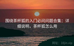 围绕茶杯狐的入门必问问题合集：详细说明，茶杯狐怎么用