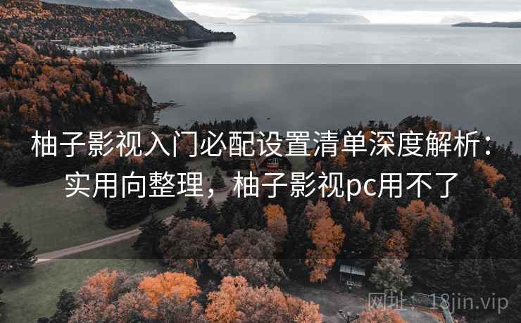 柚子影视入门必配设置清单深度解析：实用向整理，柚子影视pc用不了