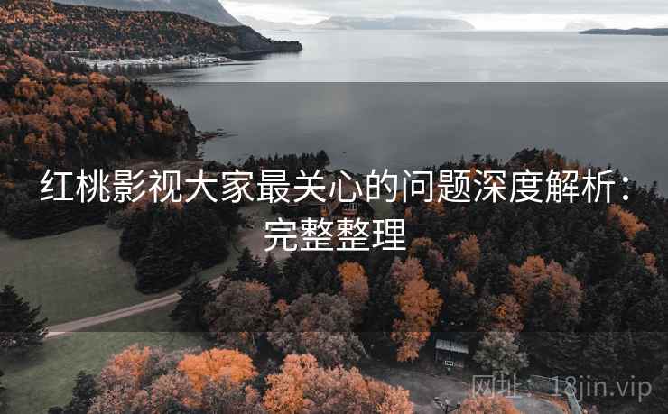 红桃影视大家最关心的问题深度解析：完整整理